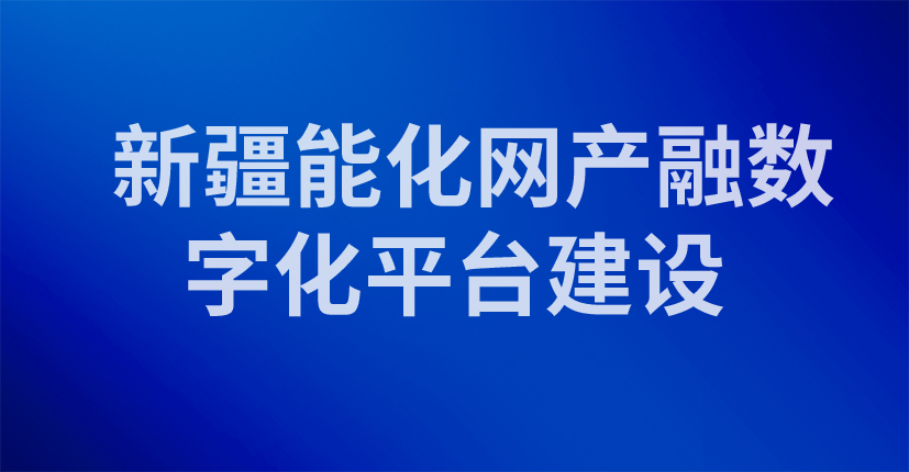 新疆能化网产融数字化平台建设