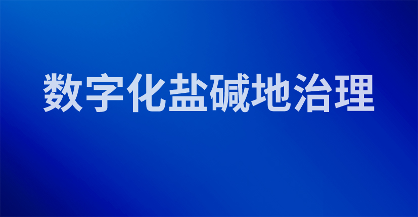数字化盐碱地治理