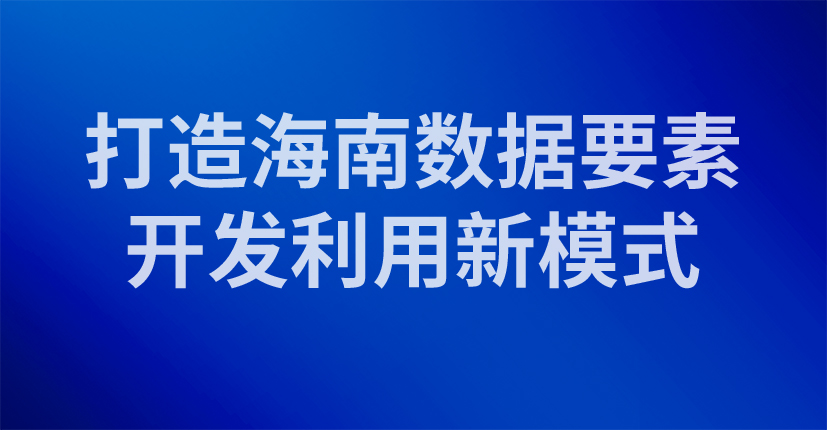 打造海南数据要素开发利用新模式