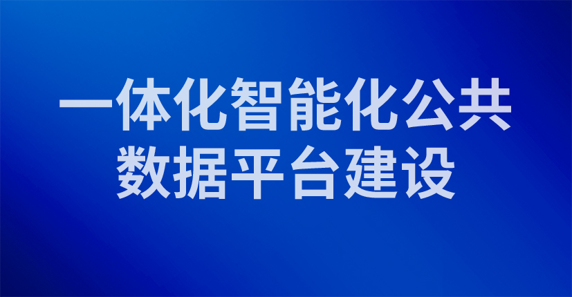 一体化智能化公共数据平台建设