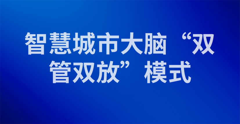 智慧城市大脑“双管双放”模式