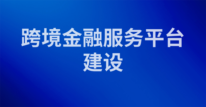 跨境金融服务平台建设